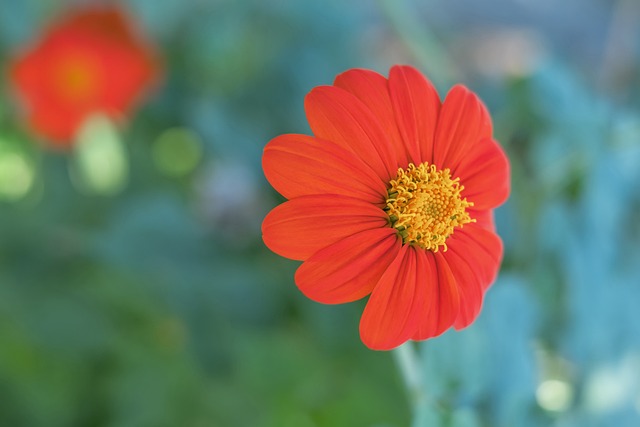 半场战报：门兴0-0莱比锡，比赛沉闷，两支球队总计0射正