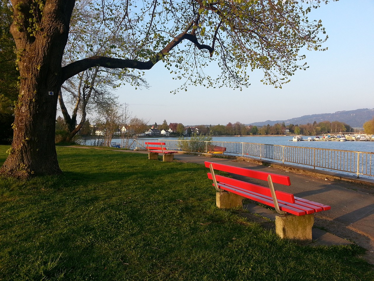 2026年世界杯对阵荷兰队…上田绮世″动力十足″，渡边刚″绝对想赢″