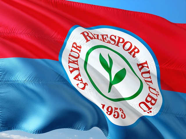 西甲：皇马客场1-1战平比利亚雷亚尔