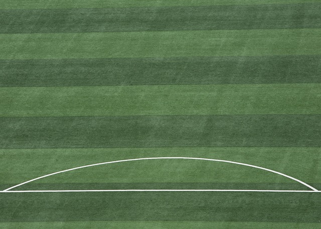 川超分区赛结束，成都、绵阳、自贡等9队进入总决赛